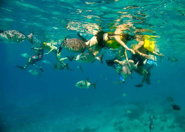 Snorkeling tour in Cozumel Cozumel Tours