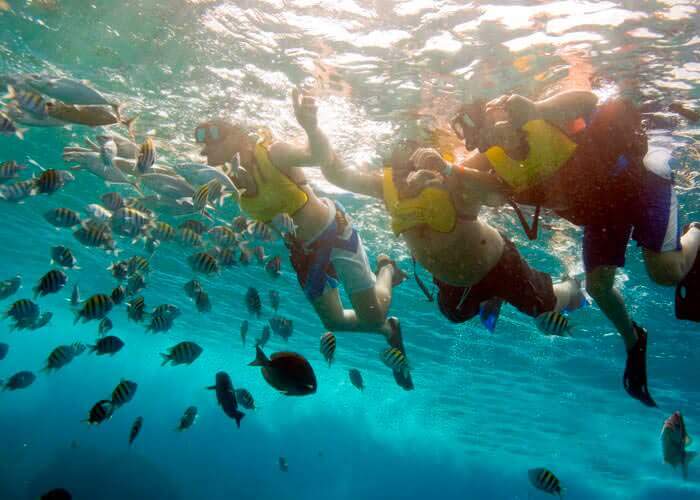 Snorkeling tour in Cozumel Cozumel Tours