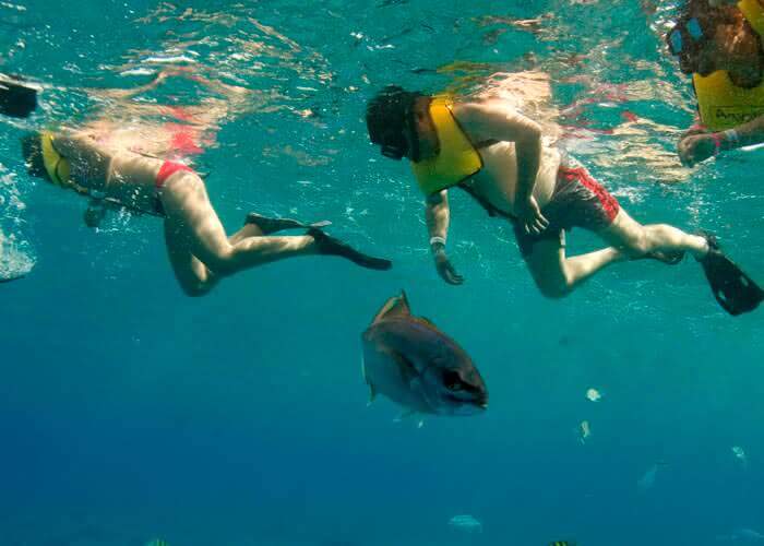 Snorkeling tour in Cozumel Cozumel Tours