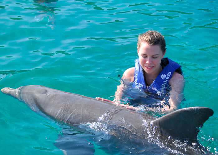 Dolphin Program Primax Tour in Riviera Maya Swim with dolphin in