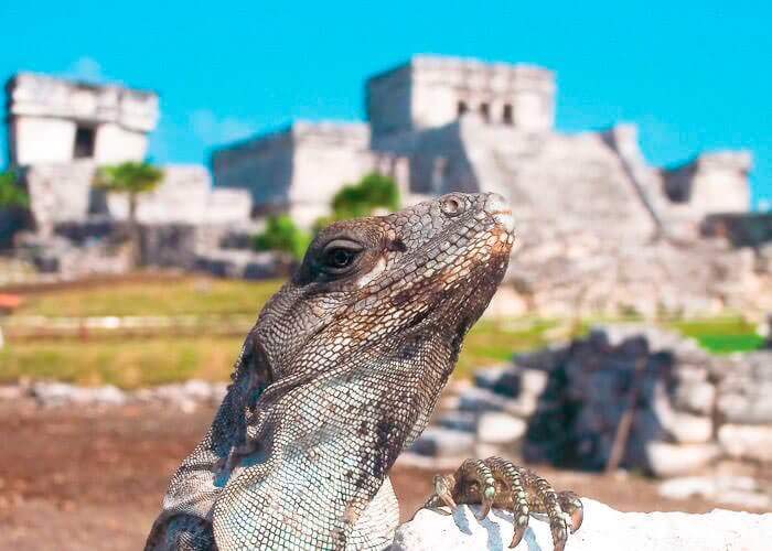 Chichen Itza + Tulum Express