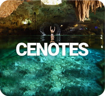 Cenotes Tours