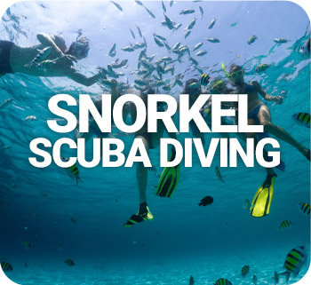 Snorkel Tours