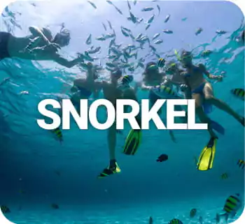 Snorkel Tours