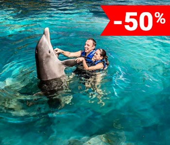 swim-with-dolphins-cancun