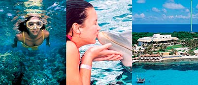 garrafon-dolphins-package