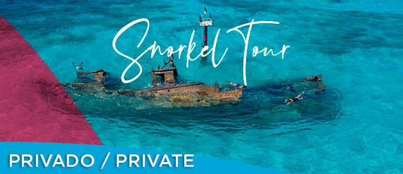 snorkel private tour