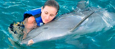 riviera-maya-dolphin-discovery