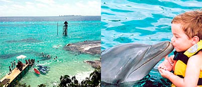 garrafon-park-dolphins