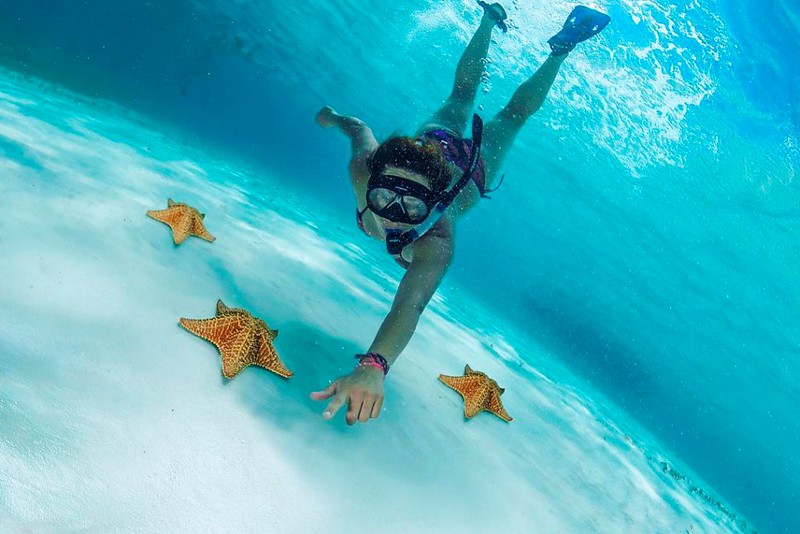 Young girl Snorkeling with Star fishi