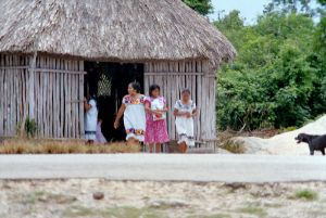 traditional mayan house