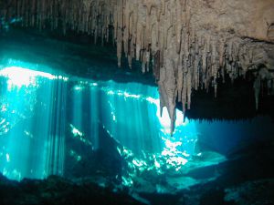 Divign in cenotes