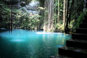 Cenote Fall View