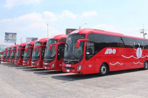 ADO bus fleet for public transport