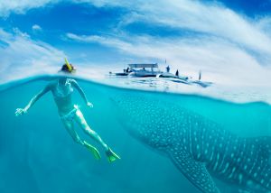 girl near a boat in cancun with great fish