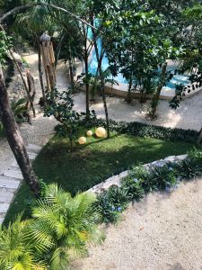 exotic gardens at tulum