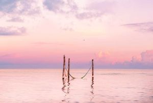 hammocks sunset at holbox