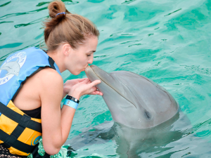 dolphin kis experience at Riviera Maya