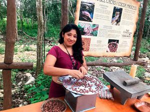 cacao experience