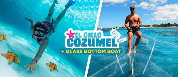 clear boat + el cielo snorkel tour in cozumel cover