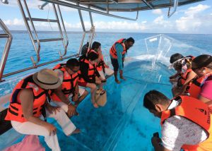 seen fishes in crystal boat