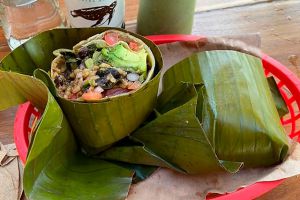 burrito-amor-vegan-food-in-tulum