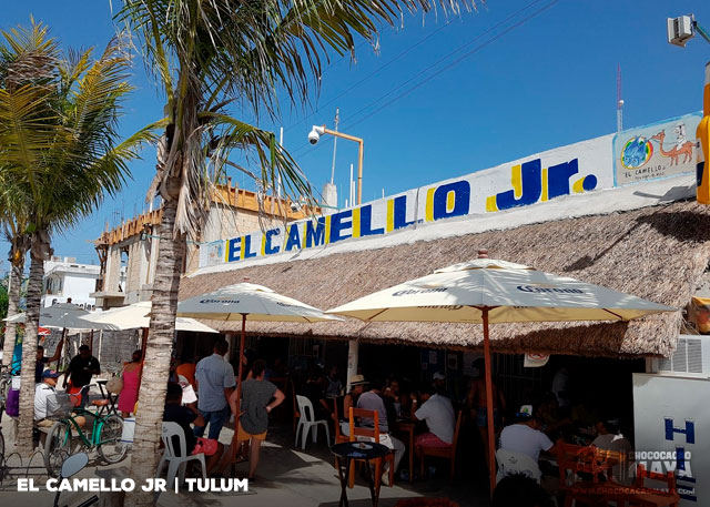 el camello jr fish and shrimp tacos Best Restaurants in Tulum