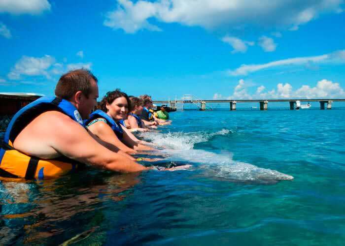 dolphin encounter cozumel chankanaab