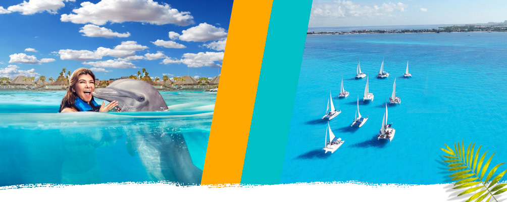 dolphin swim tours from tulum